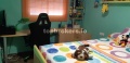 Foto1