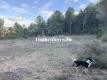 Foto31