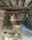 Foto6