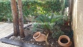 Foto12