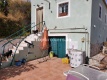 Foto31