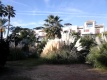 Foto19