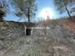 Foto9
