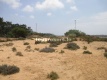 Foto7