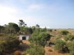 Foto8