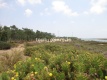 Foto3