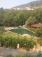 Foto8