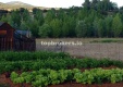 Foto9