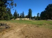 Foto5