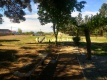Foto9
