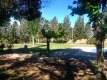 Foto8