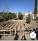 Foto6