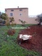 Foto7