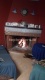 Foto8