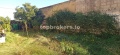 Foto8
