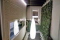 Foto33