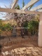 Foto14