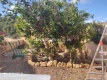 Foto15