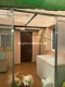 Foto8