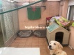 Foto9