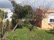 Foto19