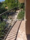 Foto8