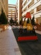 Foto8