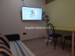 Foto7
