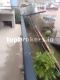 Foto12