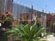 Foto10