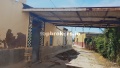 Foto14