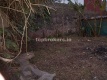 Foto19