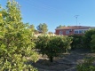 Foto9