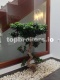 Foto15