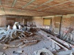 Foto9