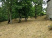 Foto9