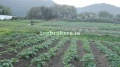 Foto6