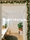 Foto6