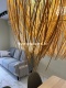 Foto9