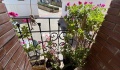 Foto17