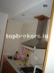 Foto7
