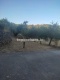 Foto12