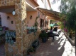 Foto8
