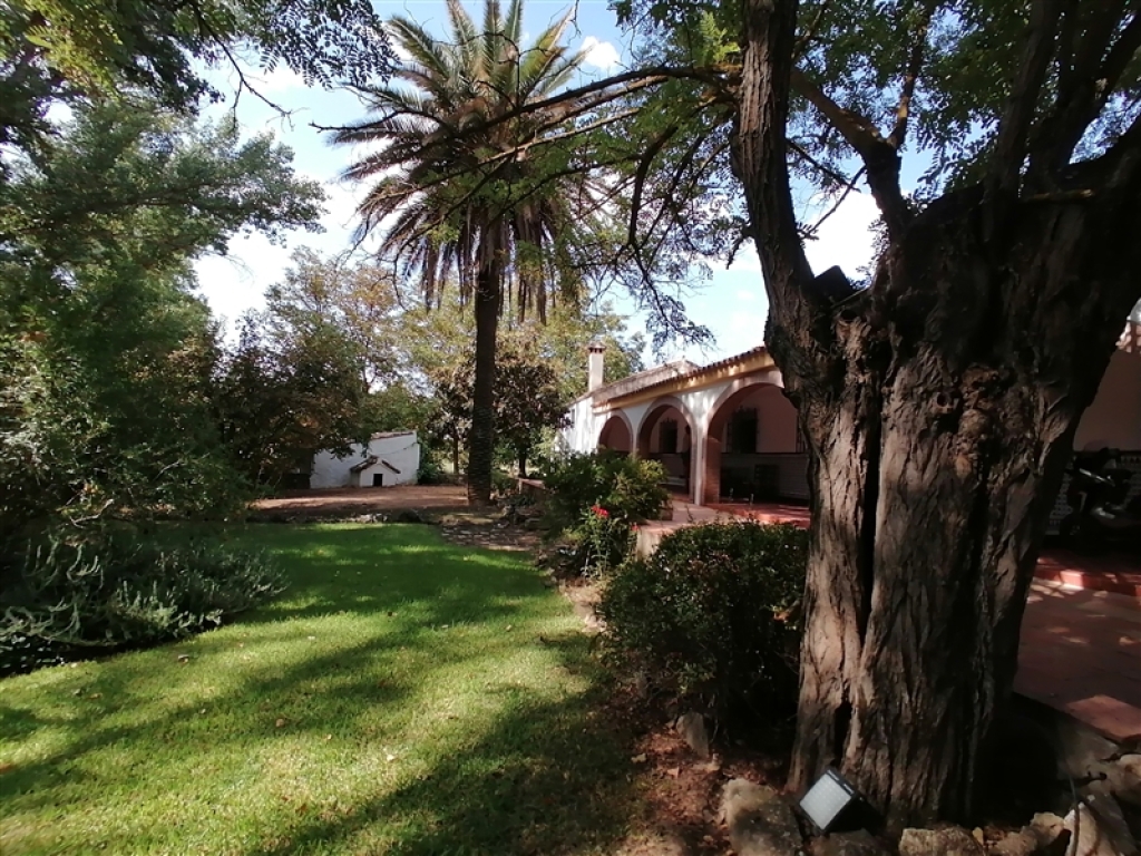 Tractor sin documentacion  de segunda mano - Casa de campo-Masía en Venta en Ronda Málaga