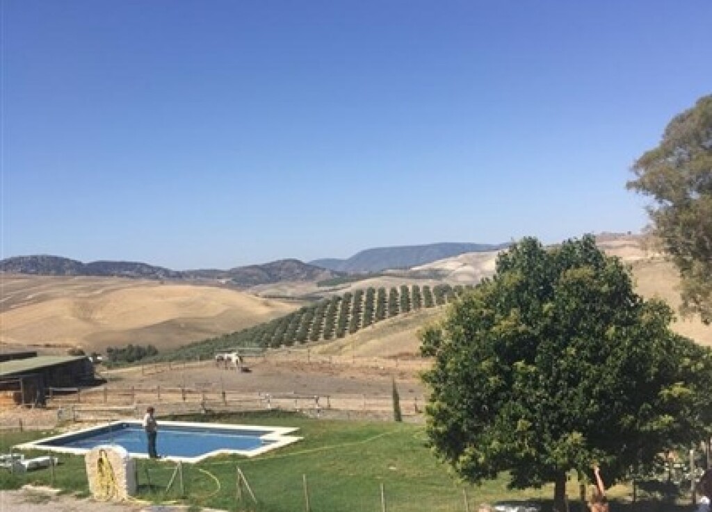 Foto casa de campo-masía en venta en setenil de las bodegas cádiz