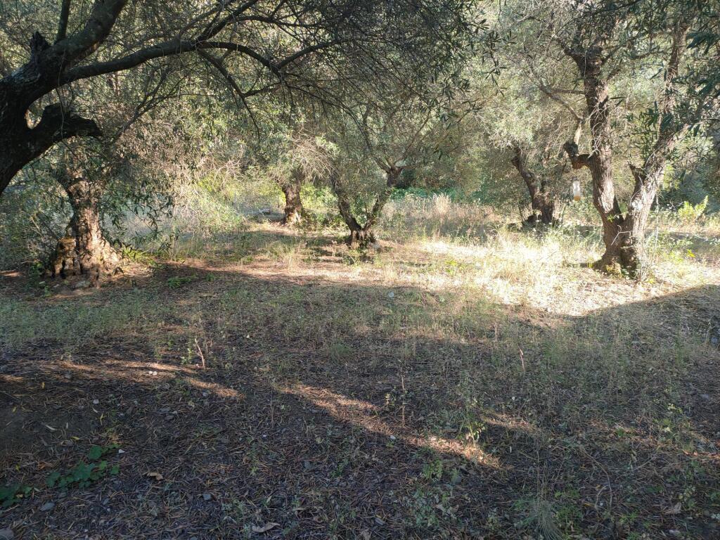 parcela en venta en genalguacil málaga foto grande (3)