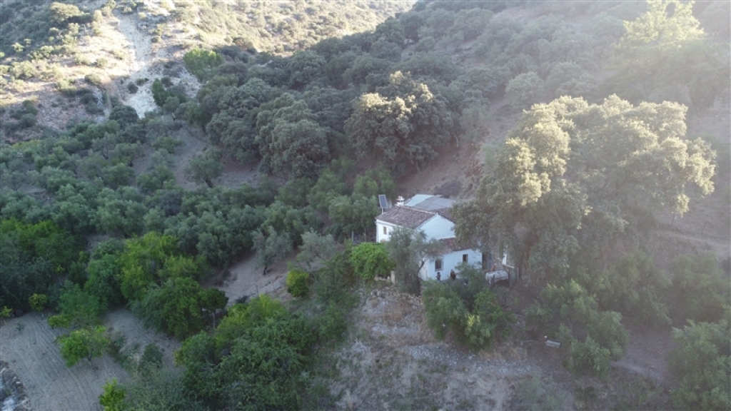 casa de campo-masía en venta en alpandeire málaga foto grande (3)