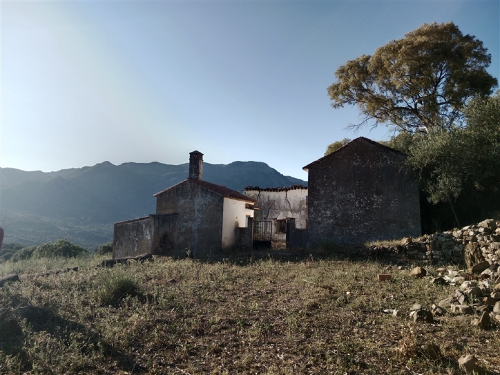 Foto casa de campo-masía en venta en benadalid málaga