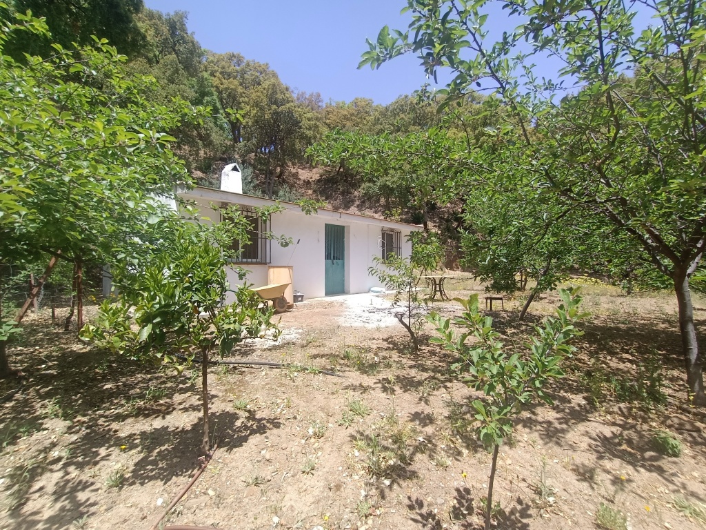 casa de campo-masía en venta en jubrique málaga foto grande (2)