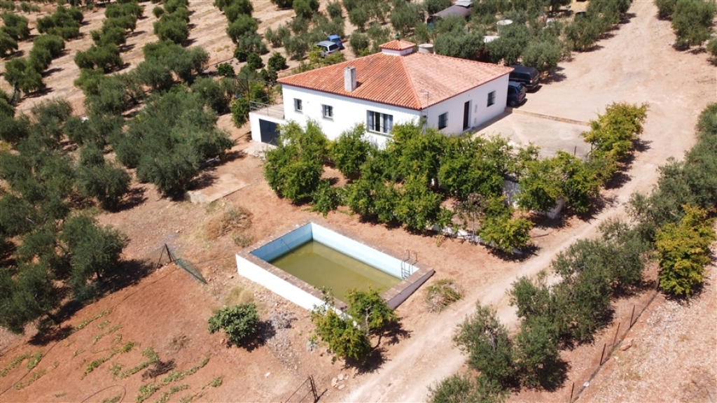 Tractor sin documentacion  de segunda mano - Casa de campo-Masía en Venta en Montellano Sevilla